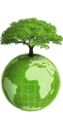 CA88(�й�)Ψһ�ٷ���վ���